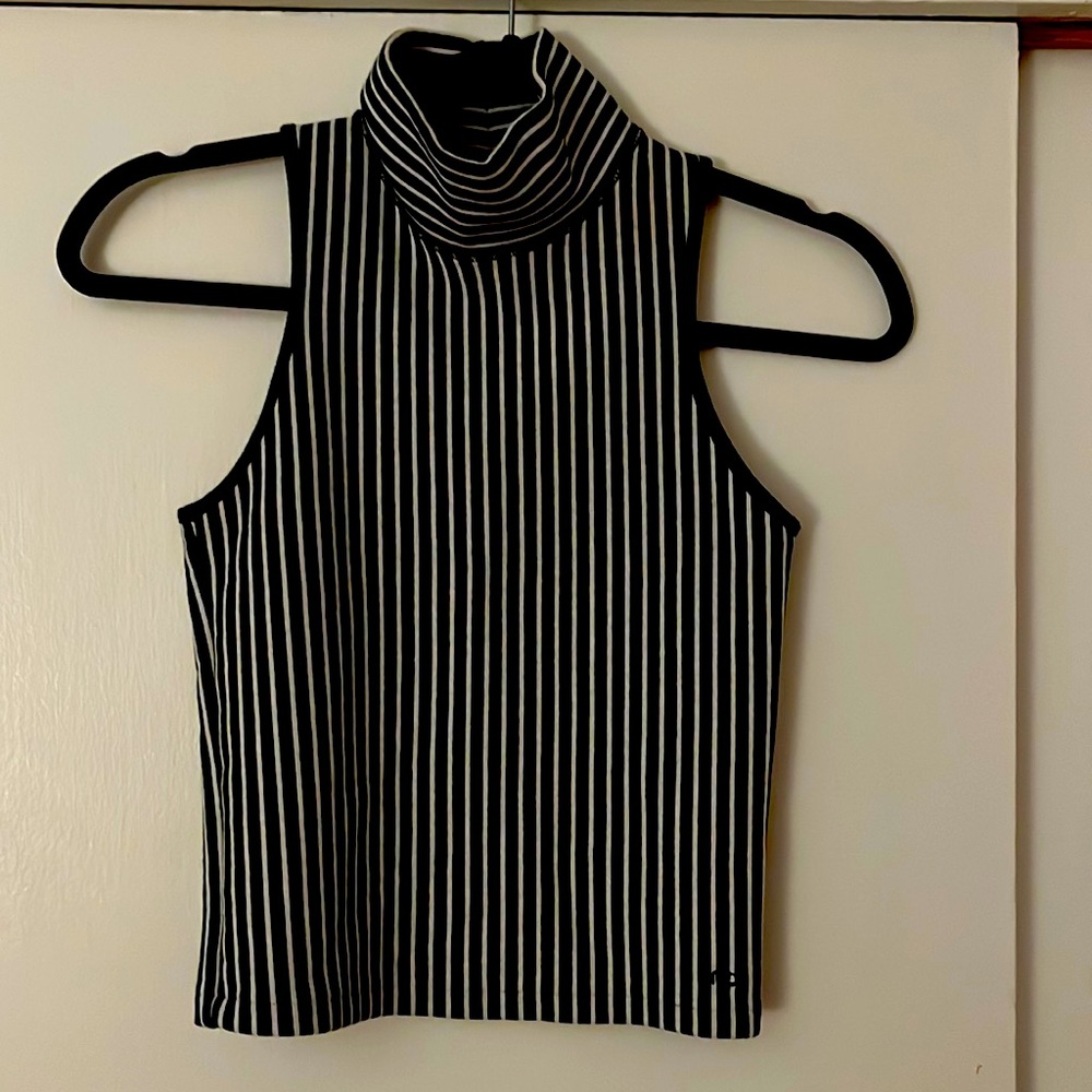 Rag and Bone the knit striped turtleneck crop